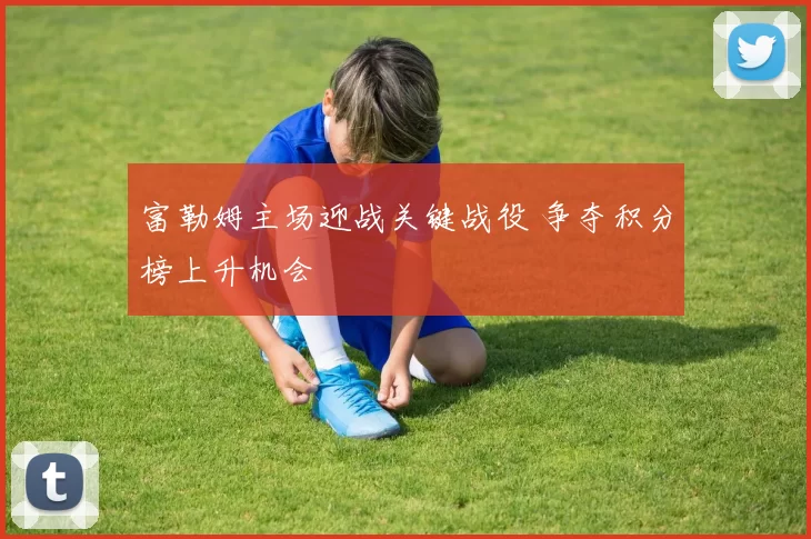 富勒姆主场迎战关键战役 争夺积分榜上升机会