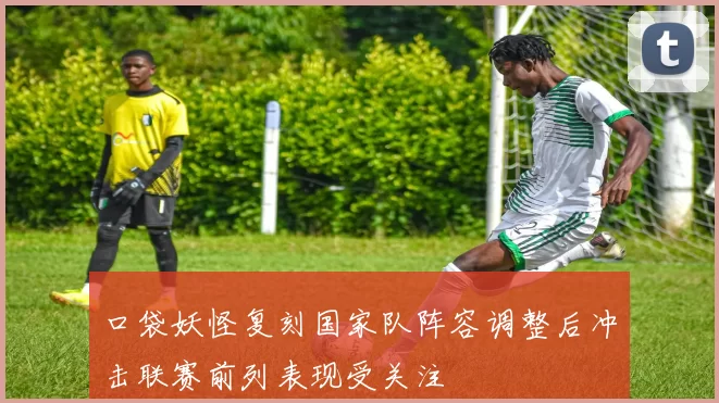 口袋妖怪复刻国家队阵容调整后冲击联赛前列表现受关注