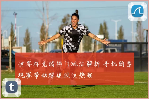 世界杯竞猜热门玩法解析 手机购票观赛带动球迷投注热潮