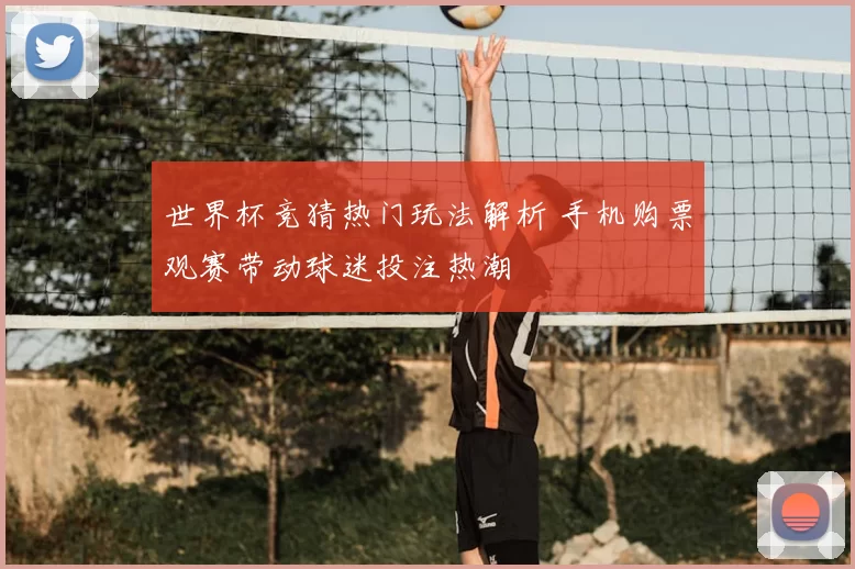 世界杯竞猜热门玩法解析 手机购票观赛带动球迷投注热潮